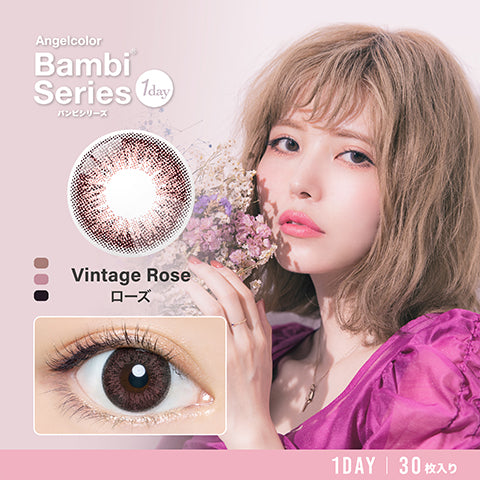 Angelcolor Bambi Series 1Day Vintage Rose