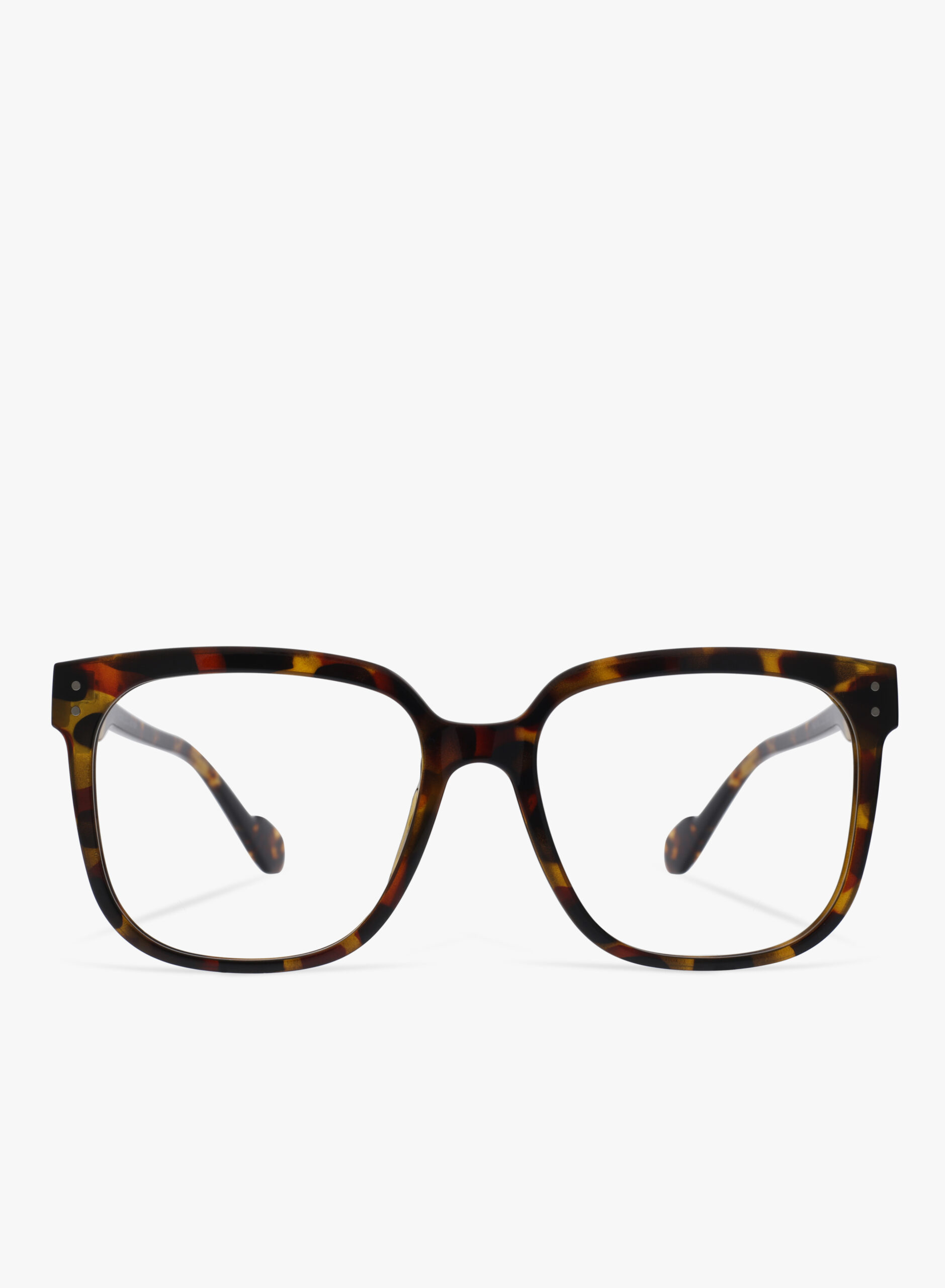 LANY TORTOISE SHELL Oblique Eyewear